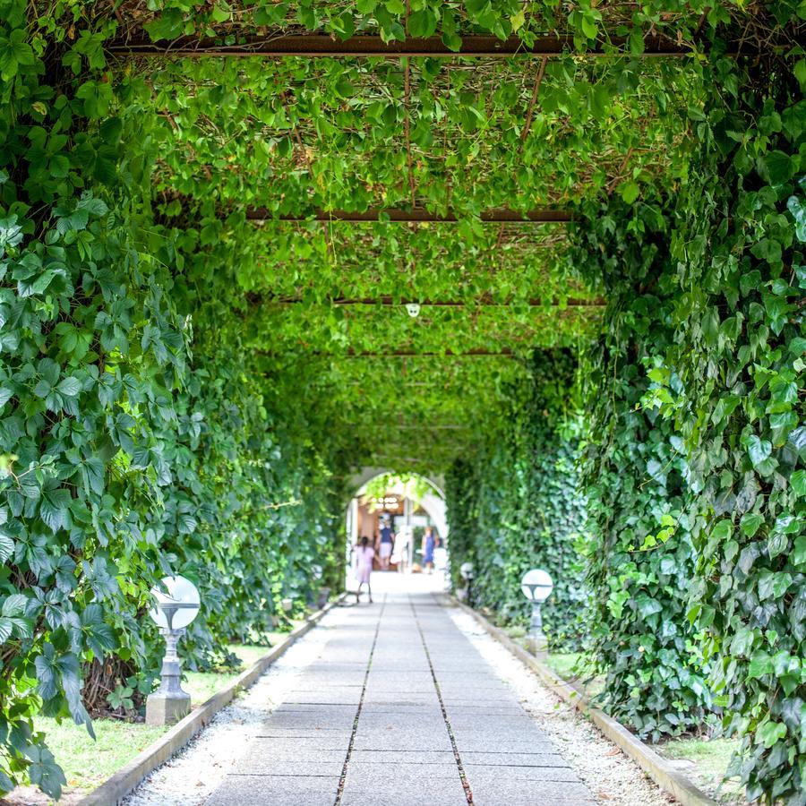Hotel Aurelia Milano Marittima Exterior photo